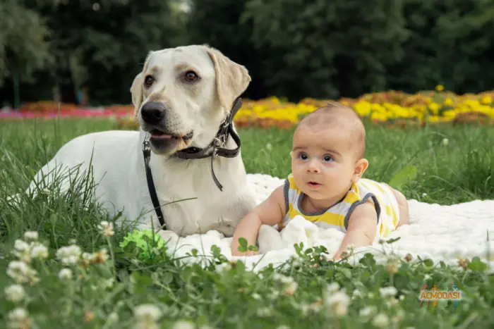 Viki   фото №1852315. Загружено 25 Апреля 2023