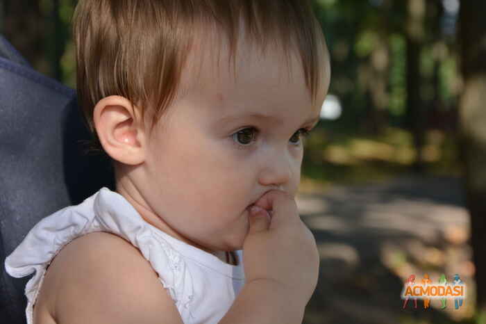 Галина  Снытникова фото №919460. Загружено 10 Сентября 2015