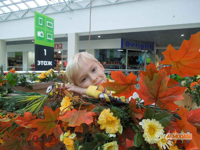 Павлоградский Савелий Ильич фото №1024593. Загружено 14 Апреля 2016