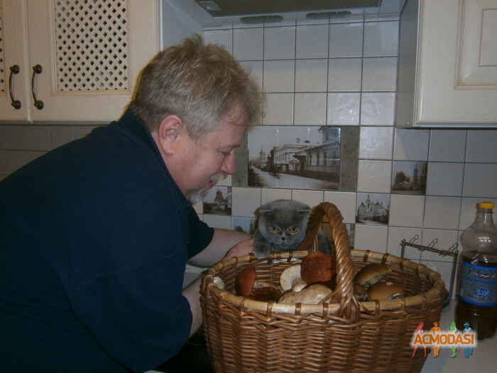 Алексей   фото №575549. Загружено 19 Января 2014