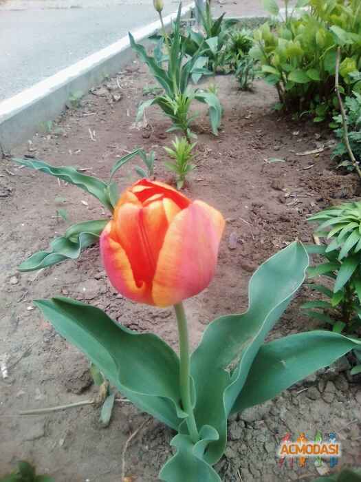 Анна Викторовна Екимова фото №1447899. Загружено 16 Апреля 2019