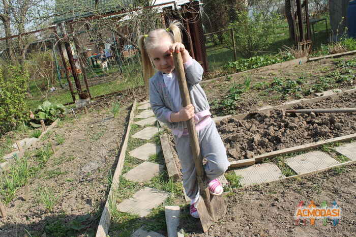 Настя   фото №955610. Загружено 16 Ноября 2015