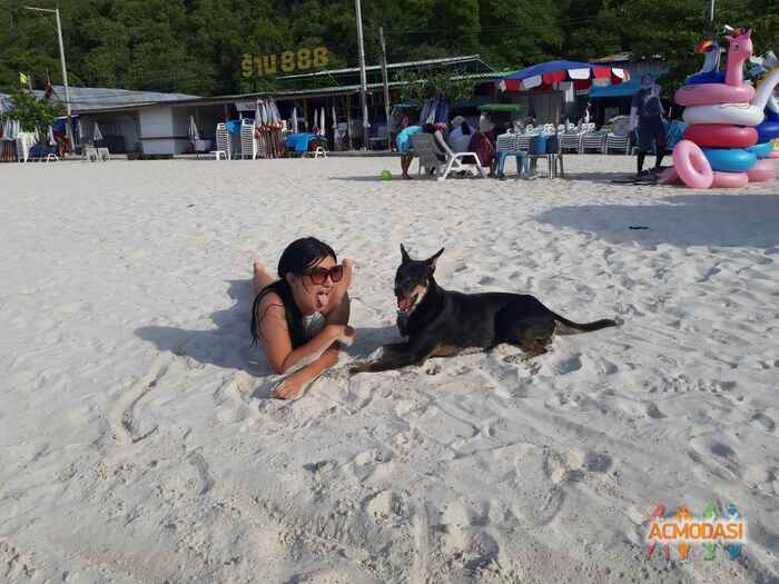 Эльвира Эдуардовна Алиева фото №1517739. Загружено 28 Сентября 2019