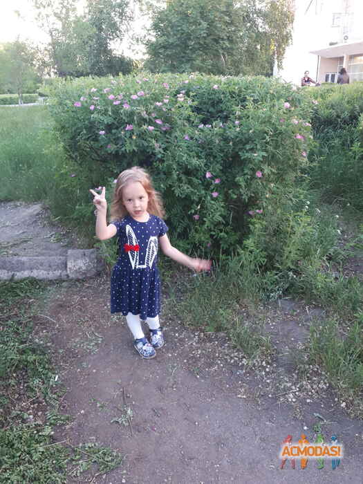 Александра Владимировна Протасенко фото №1373927. Загружено 21 Сентября 2018