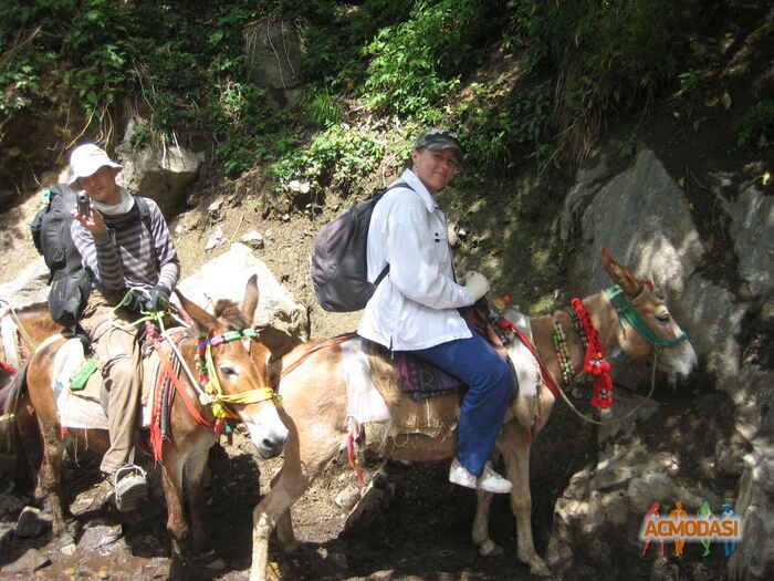 Наталья Владимировна Васильева фото №207273. Загружено 02 Июня 2012