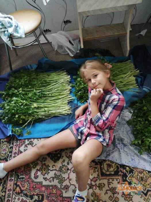 Яна  Скворцова фото №1650649. Загружено 27 Октября 2020