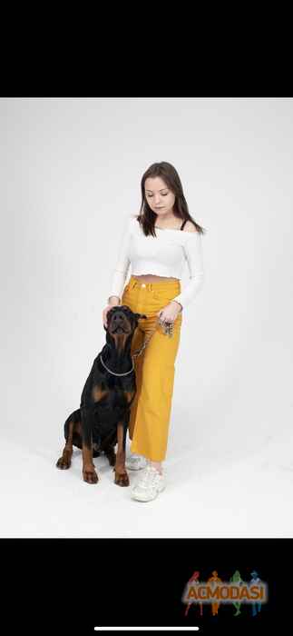 Иветта  Трубецкая фото №1715913. Загружено 15 Июня 2021