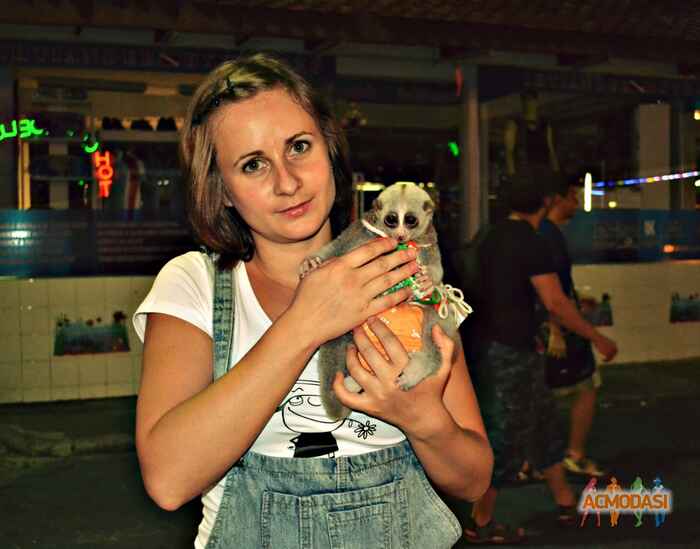 Екатерина  (Катарина) фото №808460. Загружено 25 Января 2015