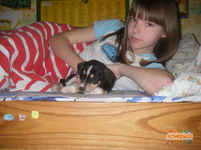 Дарья   фото №155577. Загружено 25 Февраля 2012