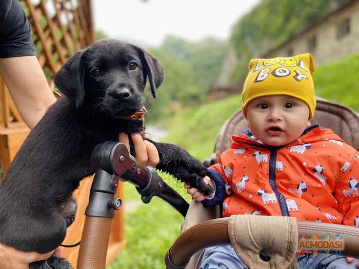 Миран  Нанаджаноа фото №1642522. Загружено 30 Сентября 2020