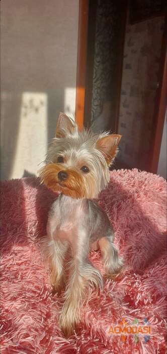 Ольга  Калижанова фото №1825355. Загружено 25 Октября 2022