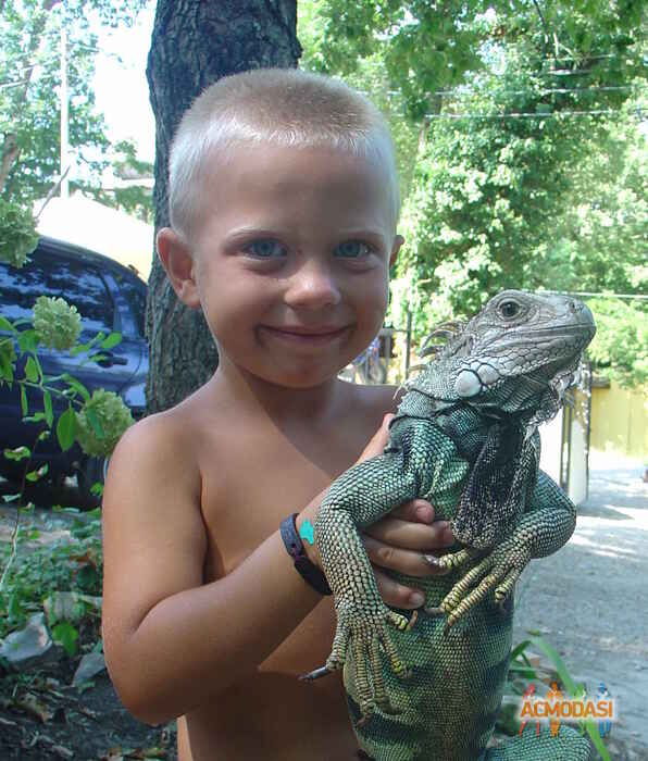 Роман  Эминович фото №300566. Загружено 01 Декабря 2012