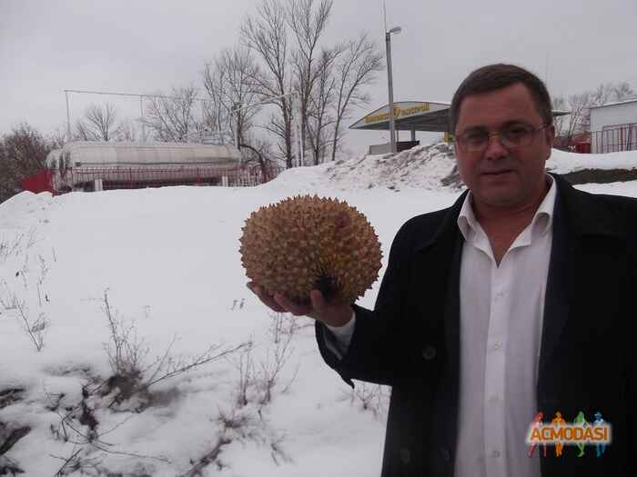 Андрей Валерьевич Иванов фото №800209. Загружено 10 Января 2015