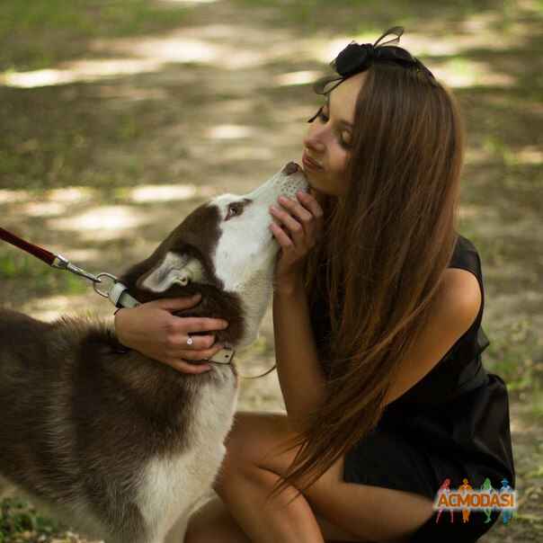 Ирина Владимировна Анисимова фото №886336. Загружено 14 Июля 2015
