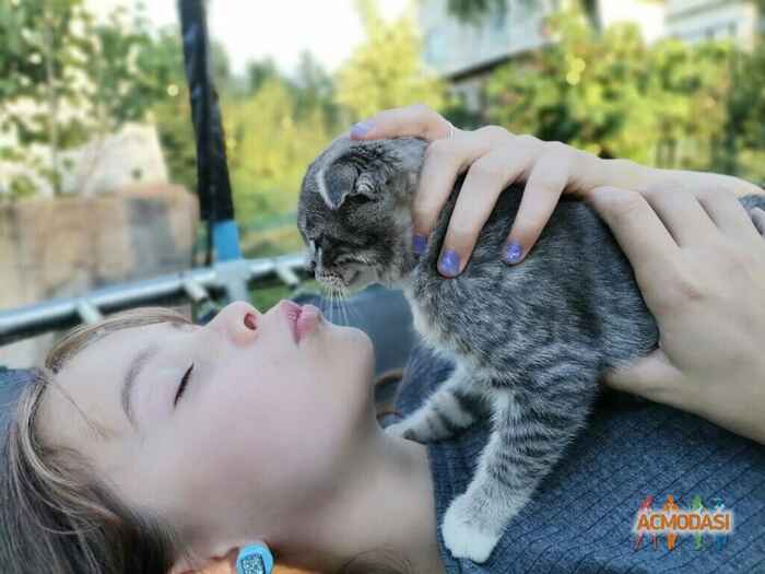 Ксенния  Алимкина фото №1628718. Загружено 12 Августа 2020
