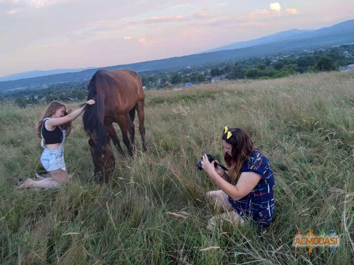 Алиса  Острова фото №1816483. Загружено 27 Августа 2022
