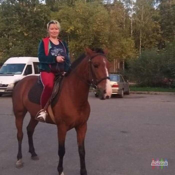 Ирина  Мирзоева фото №1840071. Загружено 29 Января 2023