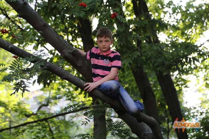 Кирилл  Боровиков фото №969444. Загружено 19 Декабря 2015