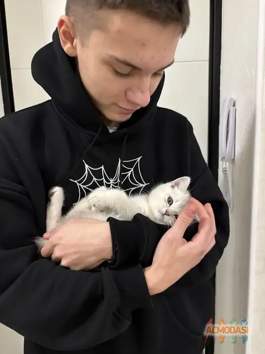 Ярослав  Окунев фото №1947967. Загружено 22 Февраля 2026