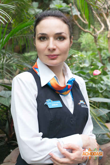 Елена   фото №1219679. Загружено 28 Августа 2017