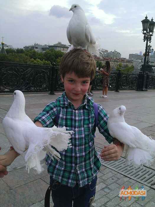 Давид Александрович Боровлев фото №889694. Загружено 21 Июля 2015