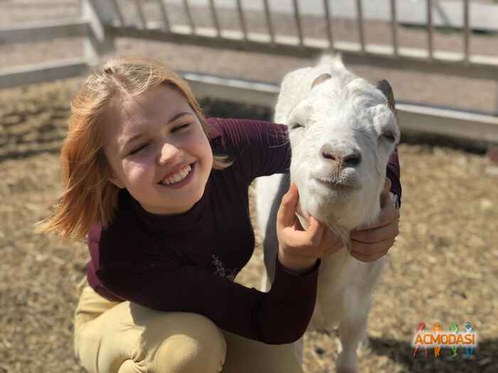 Алена Георгиевна Богачева фото №1607043. Загружено 06 Июня 2020