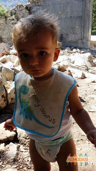 Парс   фото №699733. Загружено 30 Июля 2014