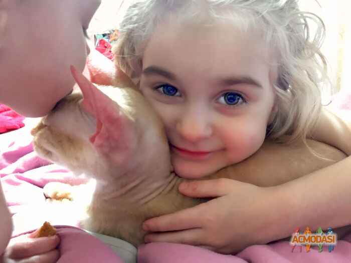 Маруся Николаевна Сотник фото №1449065. Загружено 19 Апреля 2019