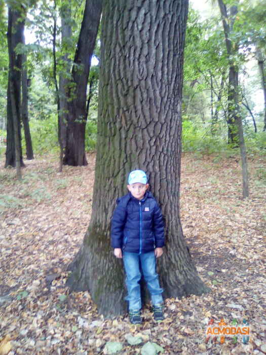 Давид  Леман фото №1518116. Загружено 29 Сентября 2019