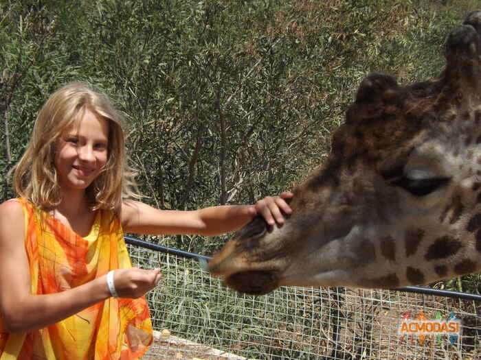 Настя Евгеньевна Антошко фото №808793. Загружено 26 Января 2015