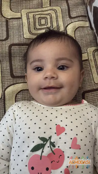 Асия  Абдурагимли фото №1943600. Загружено 13 Декабря 2025