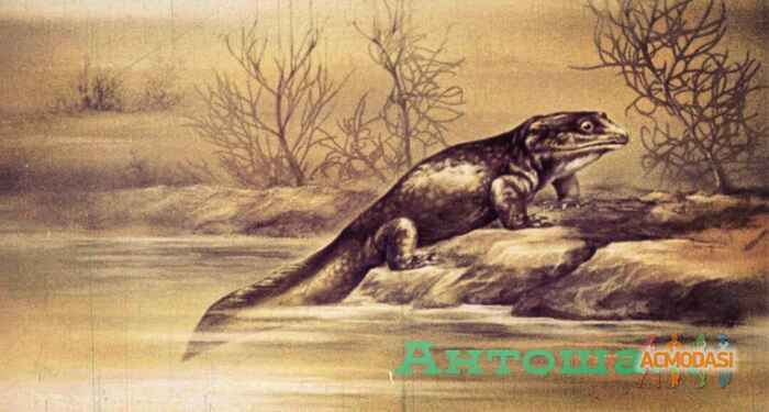 Сергей   фото №1684489. Загружено 20 Февраля 2021