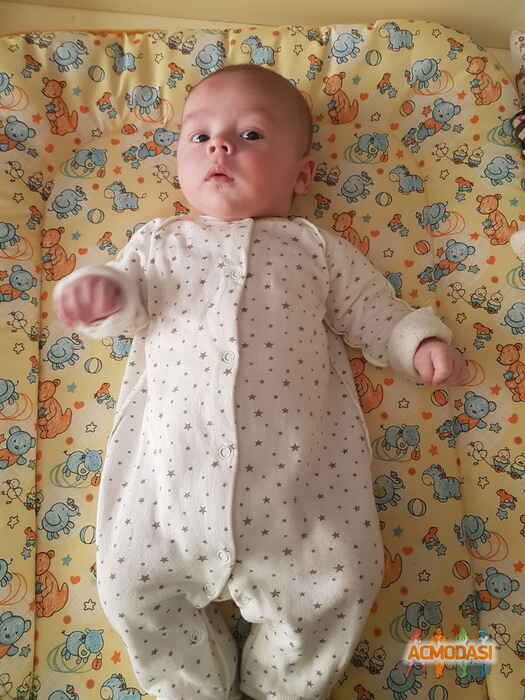 Александр Максимович Сальников фото №1443609. Загружено 05 Апреля 2019