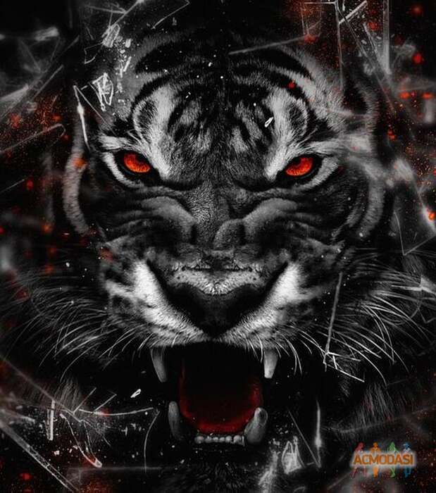 Mихаил  Шалдин фото №1831042. Загружено 28 Ноября 2022