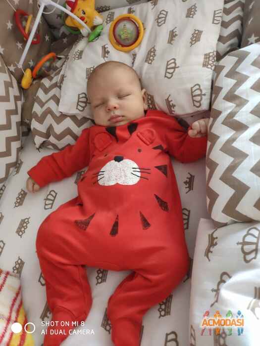 Мирон  Машнов фото №1441362. Загружено 01 Апреля 2019