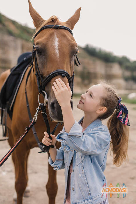 Вероника  Михеева фото №1795505. Загружено 14 Мая 2022