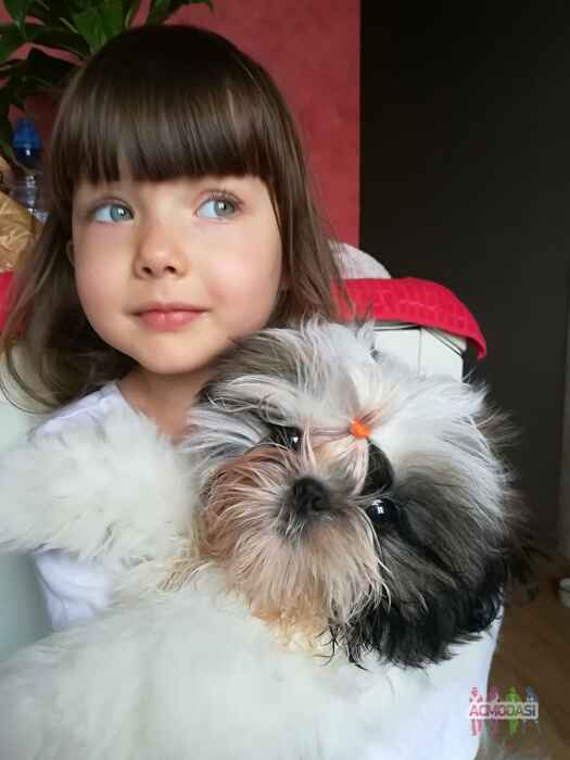 Юлия Анатольевна Явид фото №1691784. Загружено 18 Марта 2021