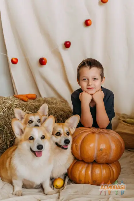 Кирилл  Шабалин фото №1947064. Загружено 10 Февраля 2026