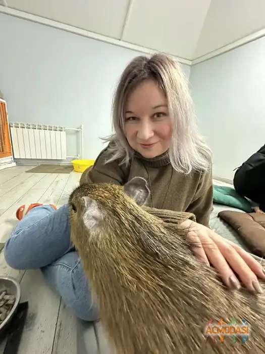 Дарья  Сафонова фото №1947060. Загружено 10 Февраля 2026