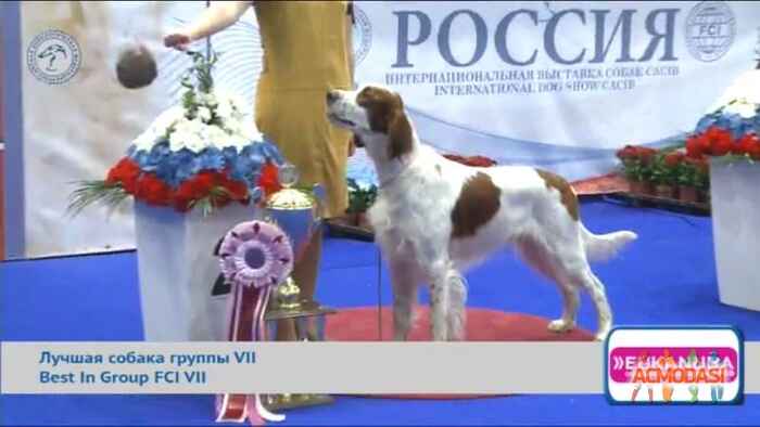 Полина  Кондрашкина фото №770707. Загружено 11 Ноября 2014
