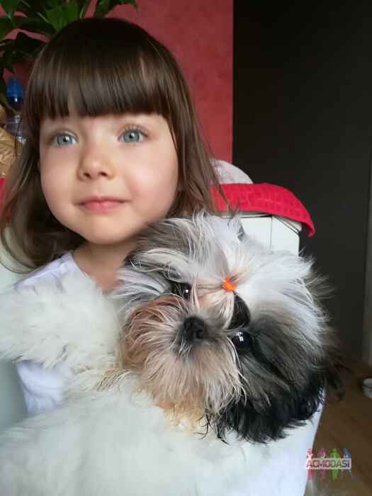 Юлия Анатольевна Явид фото №1691783. Загружено 18 Марта 2021