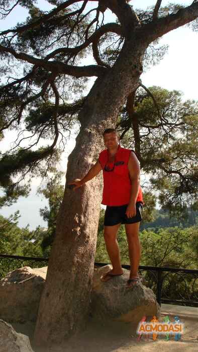 Дмитрий   фото №233917. Загружено 05 Августа 2012