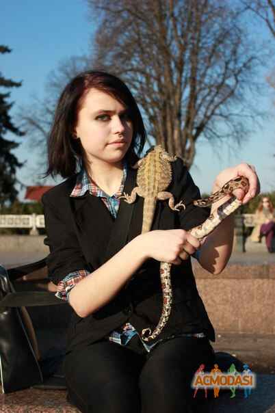 Марина Александровна Богданенко фото №634357. Загружено 11 Апреля 2014