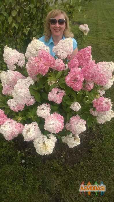 Лариса  Геннадьевна фото №939047. Загружено 15 Октября 2015