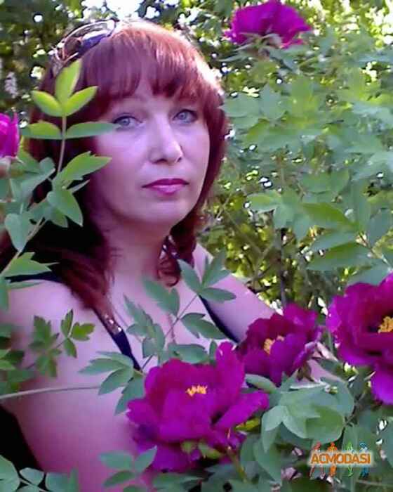 Светлана Михайловна Стеанцова фото №112801. Загружено 29 Ноября 2011