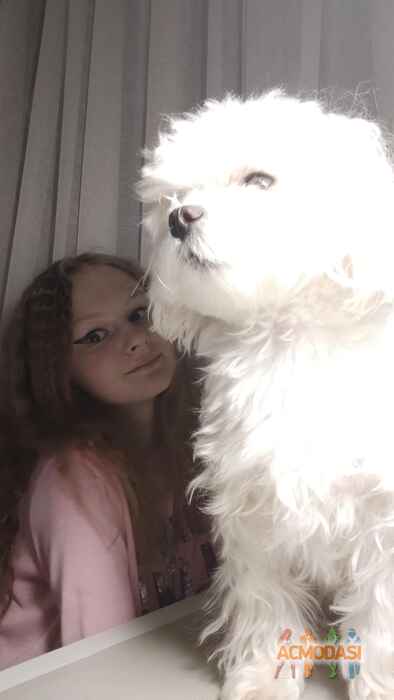 Даша  Савицкая фото №1694756. Загружено 29 Марта 2021