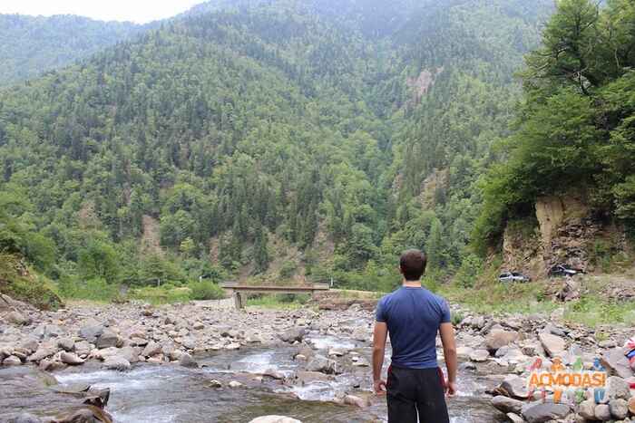 Давид  Бесарионович фото №932938. Загружено 07 Октября 2015