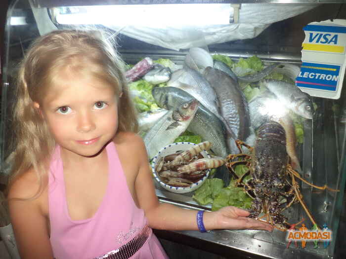 Ирина   фото №682610. Загружено 02 Июля 2014