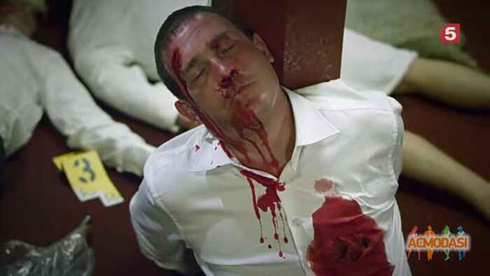 Владимир Валерьевич Ильин фото №1497242. Загружено 08 Августа 2019