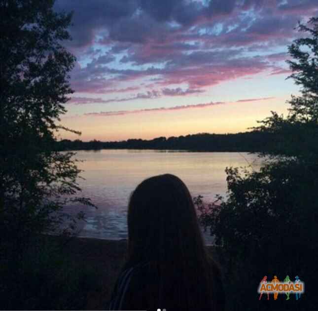 Диана  Пчелка фото №1232443. Загружено 30 Сентября 2017